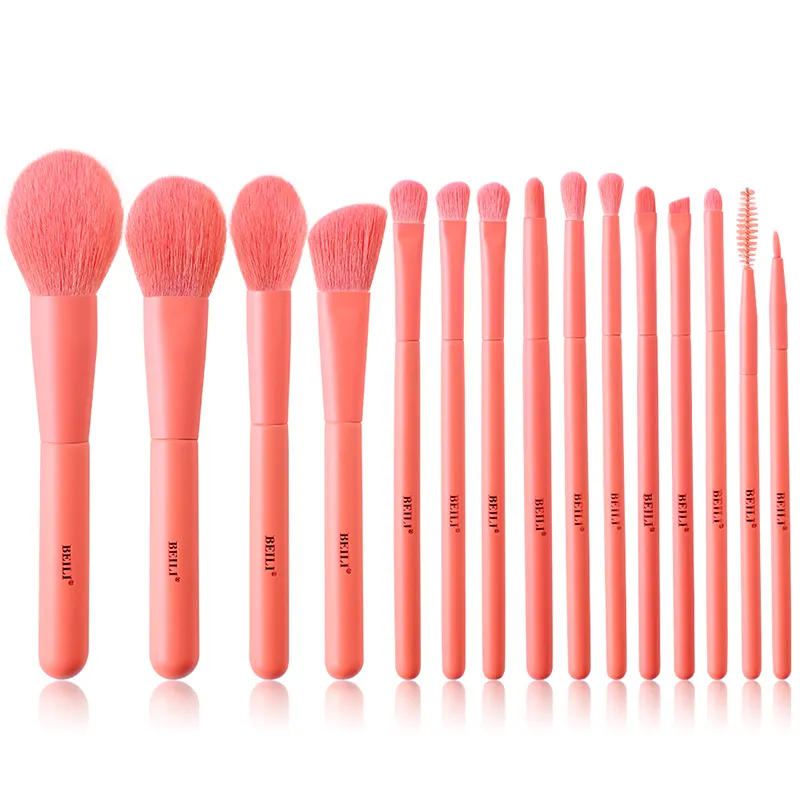 Set 15 pensule make-up Beili Orange Vegan