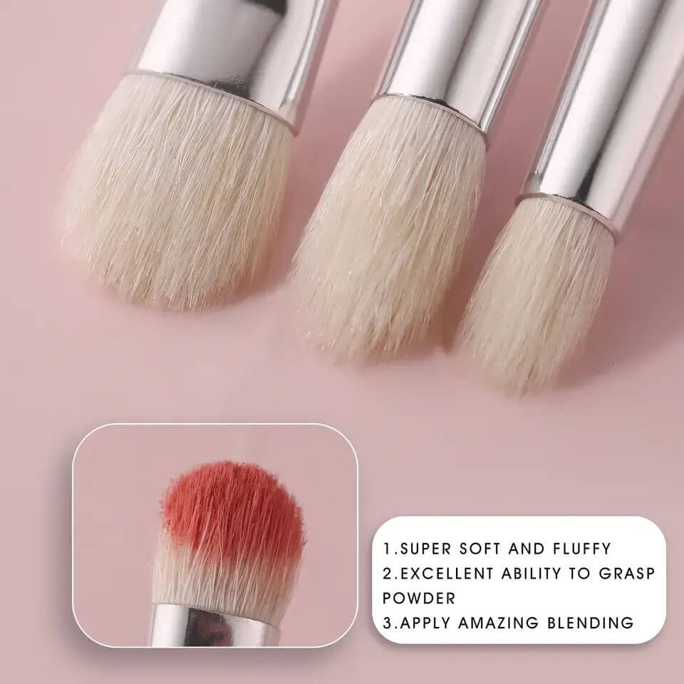 Set 10 pensule make-up Beili Black